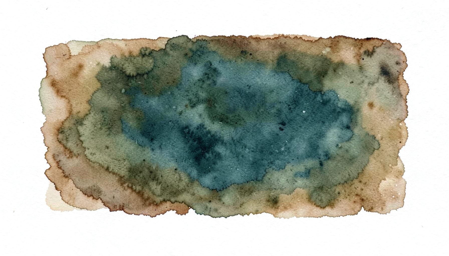 A soft watercolour painting of a rectangular badge shape in earthy brown and olive tones, evoking a natural history society logo.